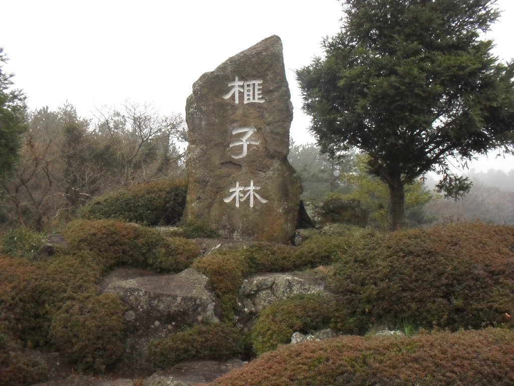 Bijarim Forest